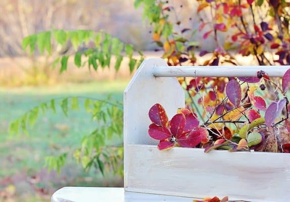 A serene autumn scene with a vintage white wooden chair nestled among colorful fall foliage, embodying the tranquil beauty of the season.
