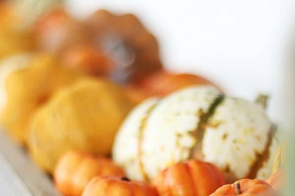 A close-up of colorful pumpkins and gourds arranged in a rustic wooden tray, with part of the image blurred to focus on the foreground.