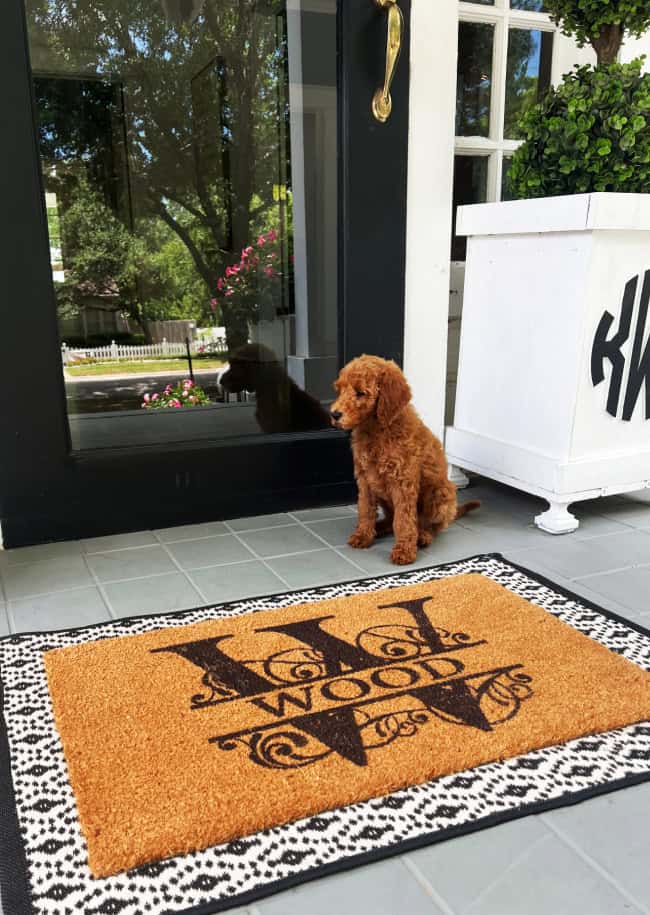 A small curly-haired brown puppy sits on a tiled porch next to a white planter and in front of a black front door. A doormat with "WOOD" written on it in decorative letters lies on the porch. Trees and flowers are reflected in the door's glass.