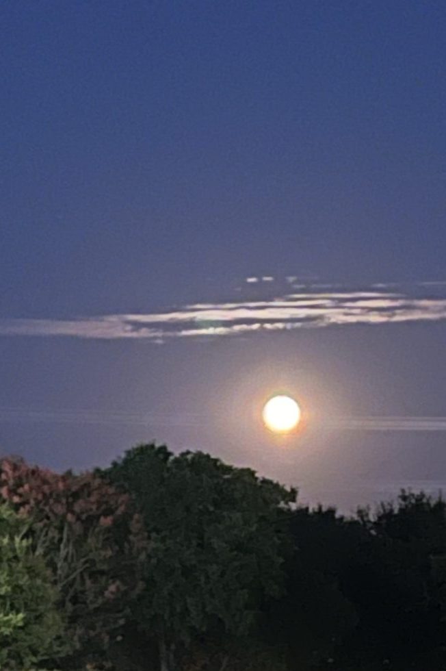 A bright, full moon illuminates the night sky, with scattered clouds partially covering it. Below, dark silhouettes of trees contrast with the glowing moon. The foreground features a park with well-manicured shrubs and a bench.