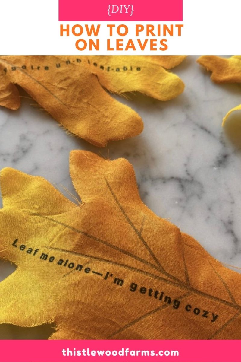 Yellow fabric leaves with printed text, including “Leaf me alone—I’m getting cozy,” are displayed on a marble surface. The image promotes a creative DIY project featuring how to print on leaves, with full instructions available at thistlewoodfarms.com.