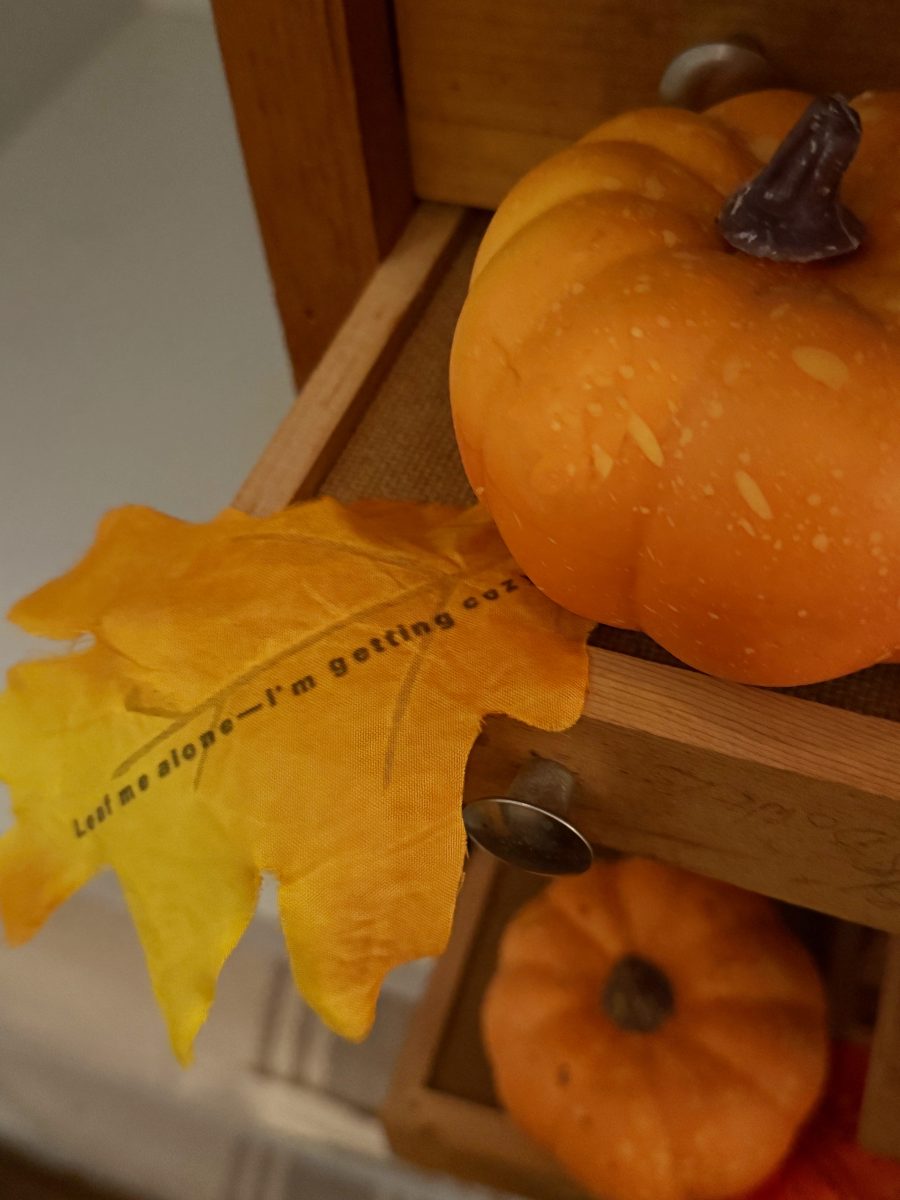 A small artificial pumpkin and a yellow leaf with the words “Let me alone—I’m getting cozy” sit on the edge of a wooden drawer. Another faux pumpkin is visible inside the open drawer below.